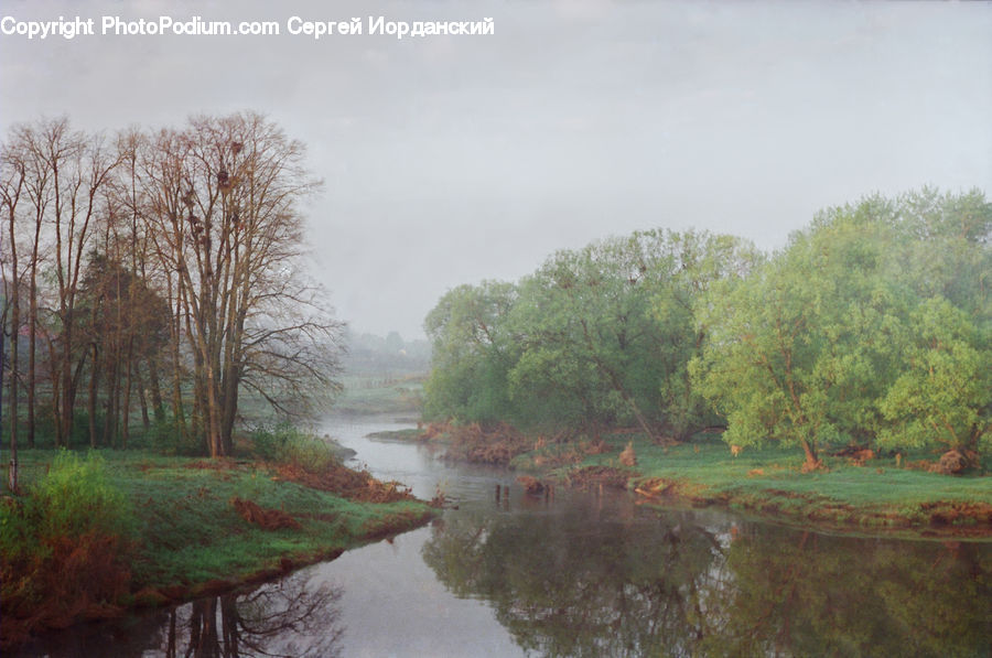 Canal, Outdoors, River, Water, Land, Marsh, Swamp