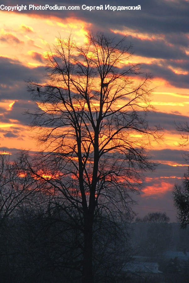 Dusk, Outdoors, Sky, Sunlight, Sunrise, Sunset, Dawn
