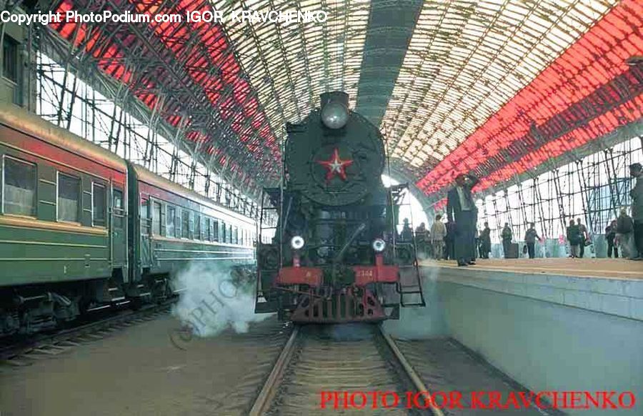 Train, Vehicle, Umbrella, Locomotive, Rail, Transportation, Engine
