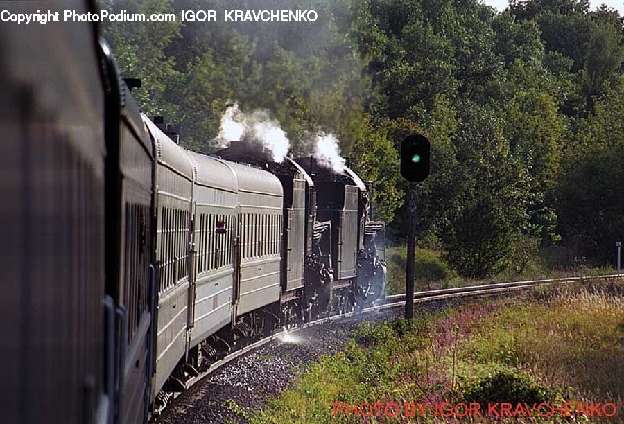 Train, Vehicle