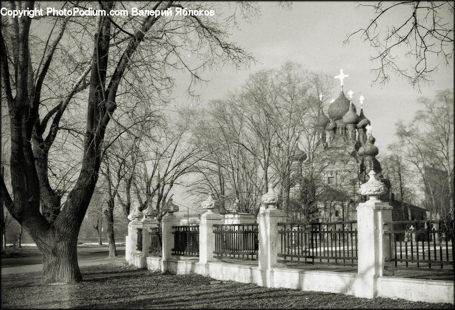 Park, Plant, Tree, Bench, Architecture, Cathedral, Church