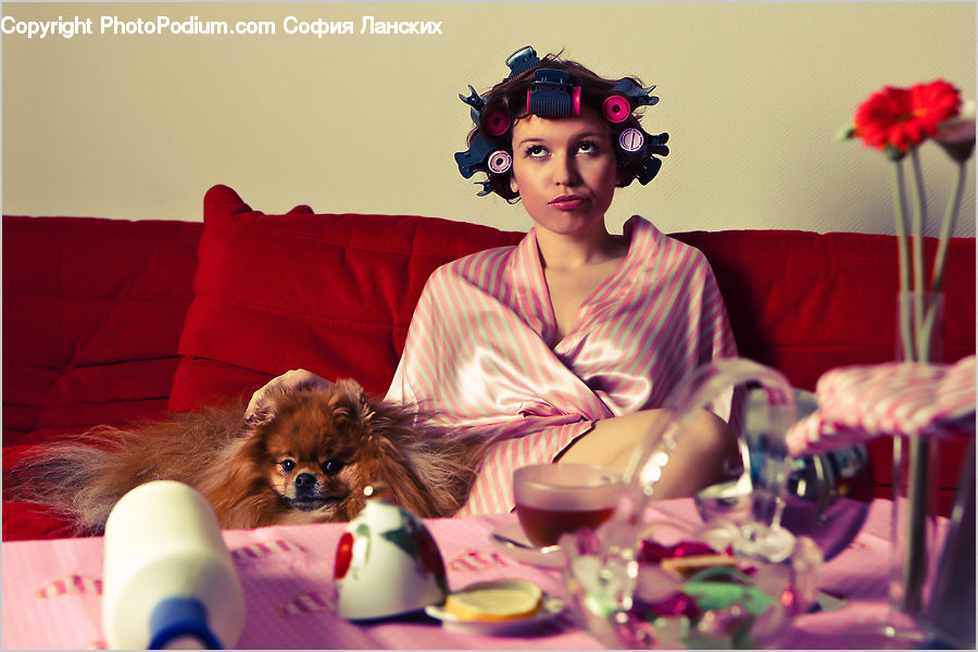 People, Person, Human, Plant, Potted Plant, Cup, Animal