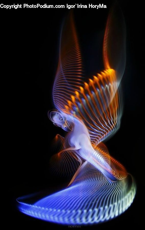 Fish, Sea Life, Fire, Flame, Porcelain, Saucer, Lighting