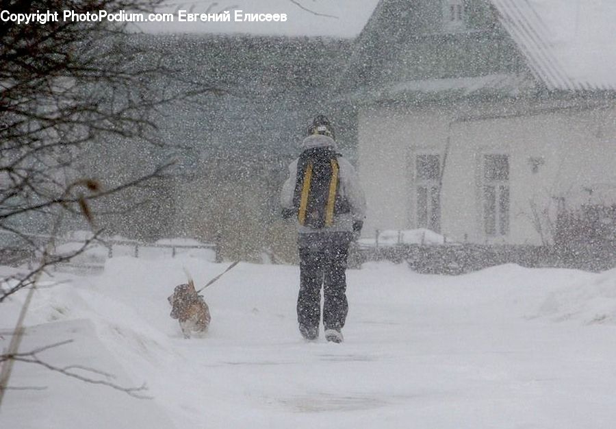 Blizzard, Outdoors, Snow, Weather, Winter, Ice