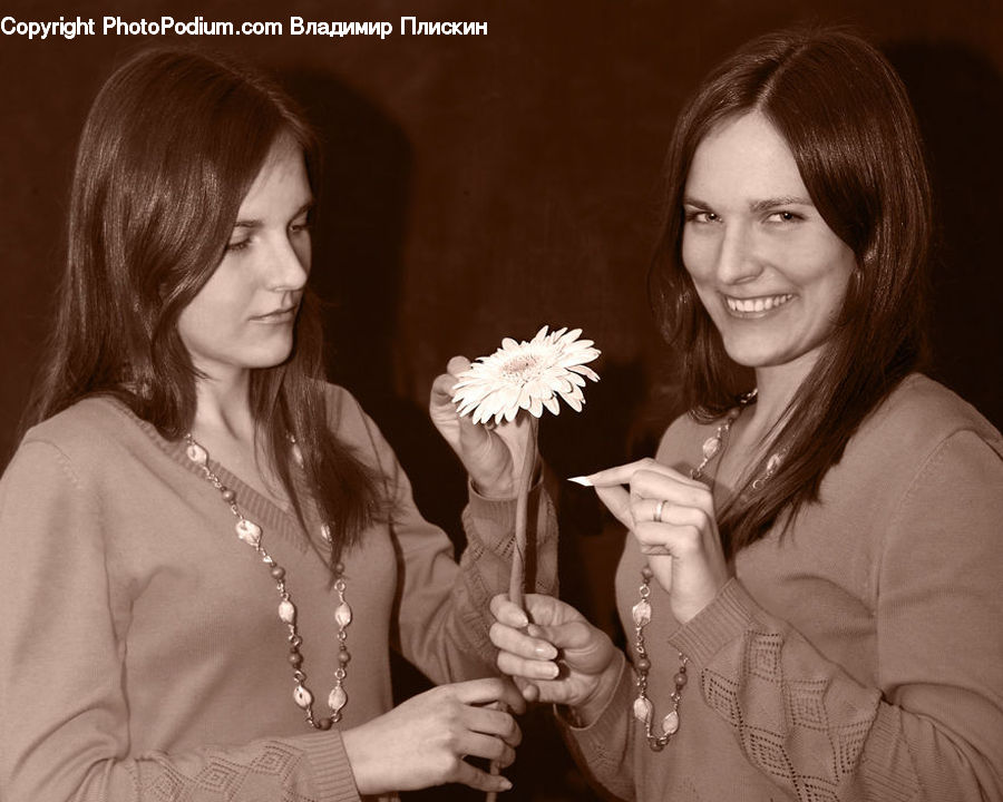 Human, People, Person, Female, Portrait, Daisies
