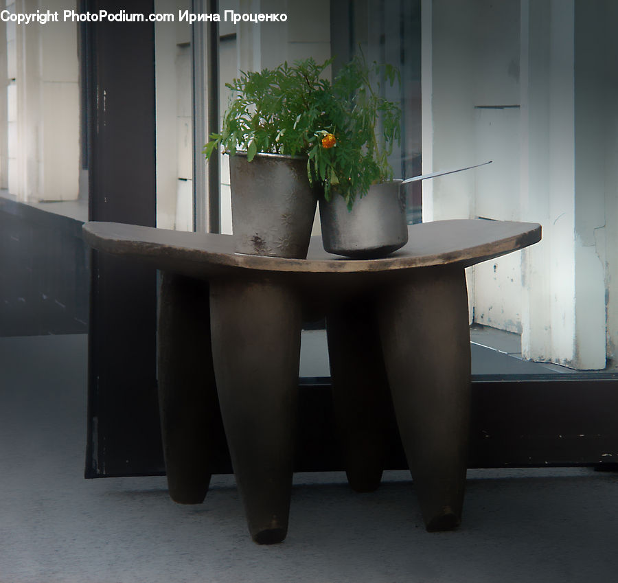 Plant, Potted Plant, Dining Table, Furniture, Table, Coffee Table, Planter