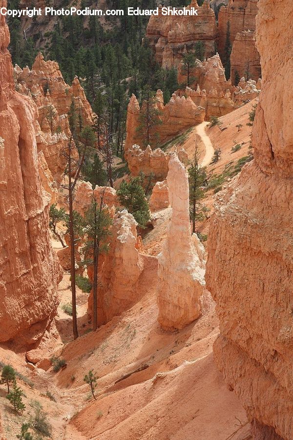 Canyon, Outdoors, Valley, Cliff, Plant, Tree, Mountain