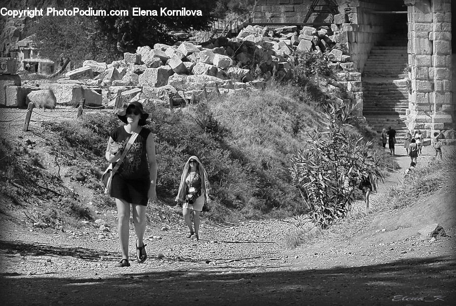 Female, Person, Path, Trail, Animal, Zoo, Leisure Activities