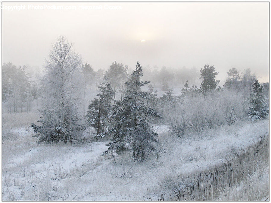 Dirt Road, Gravel, Road, Landscape, Nature, Scenery, Blizzard