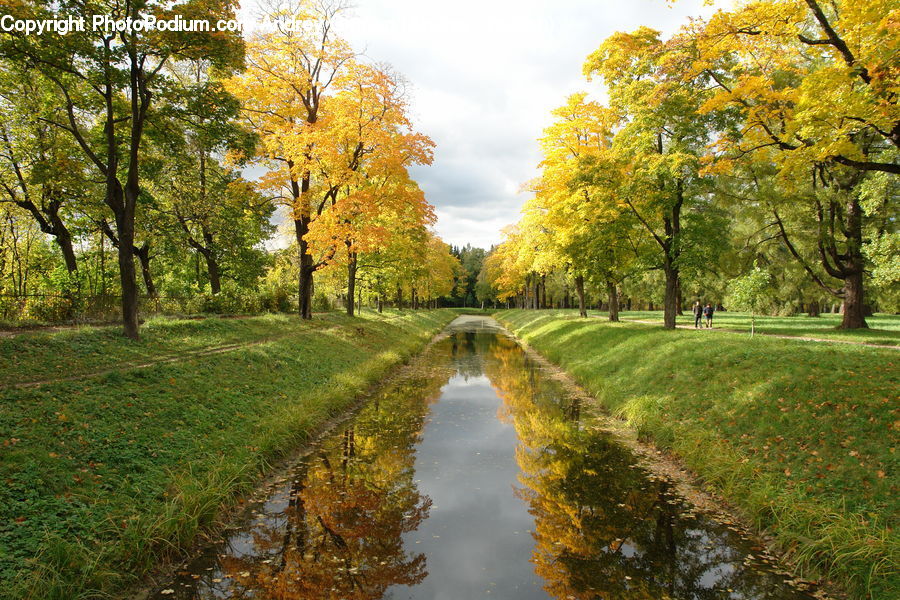 Path, Road, Walkway, Canal, Outdoors, River, Water