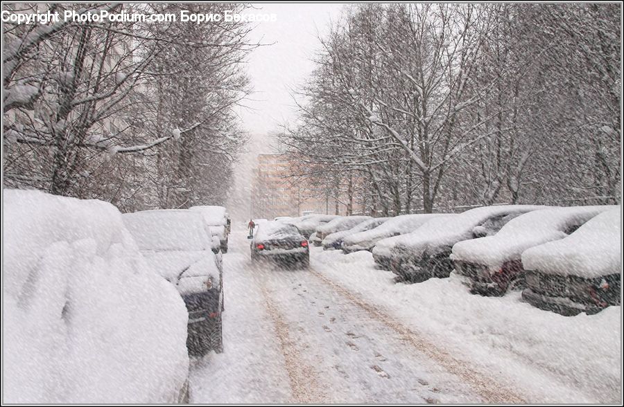 Ice, Outdoors, Snow, Blizzard, Weather, Winter, Piste