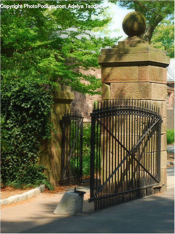 Plant, Potted Plant, Arch, Gate, Fruit, Melon, Bench