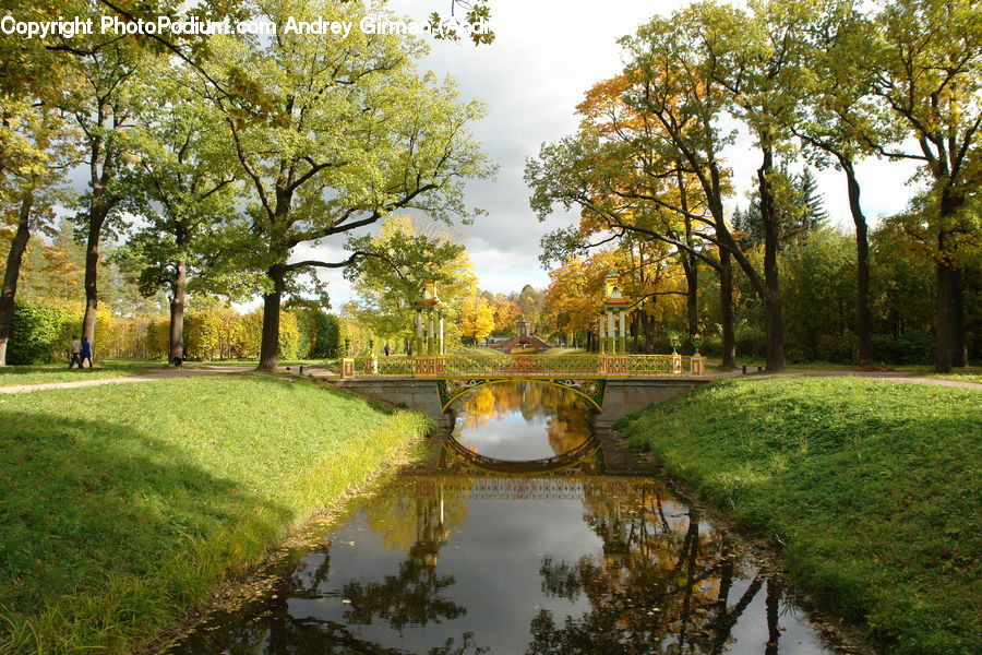 Canal, Outdoors, River, Water, Park, Pond, Fir