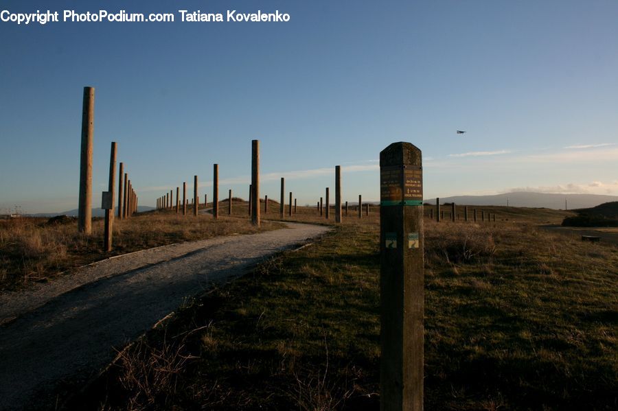 Dirt Road, Gravel, Road, Field, Grass, Grassland, Plant