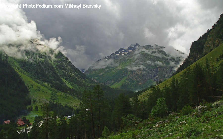 Crest, Mountain, Outdoors, Peak, Forest, Jungle, Rainforest
