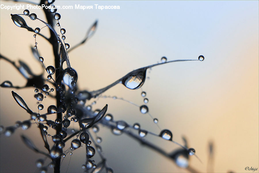 Droplet, Art, Modern Art