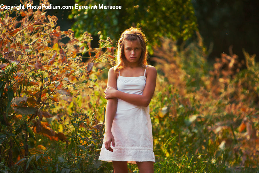 Human, People, Person, Bush, Plant, Vegetation, Female