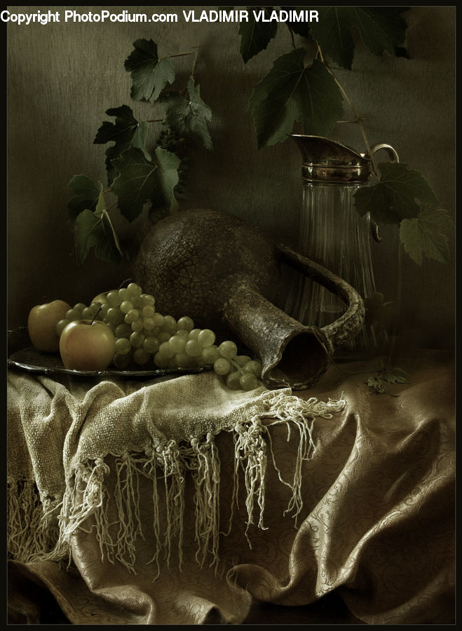 Plant, Potted Plant, Ivy, Vine, Oak, Tree, Wood