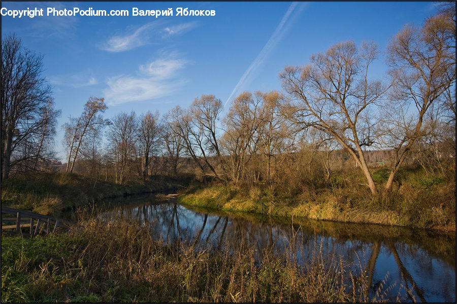 Land, Marsh, Outdoors, Swamp, Water, Field, Grass