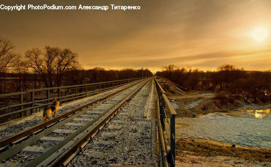 Rail, Train Track, Dirt Road, Gravel, Road, Path, Trail