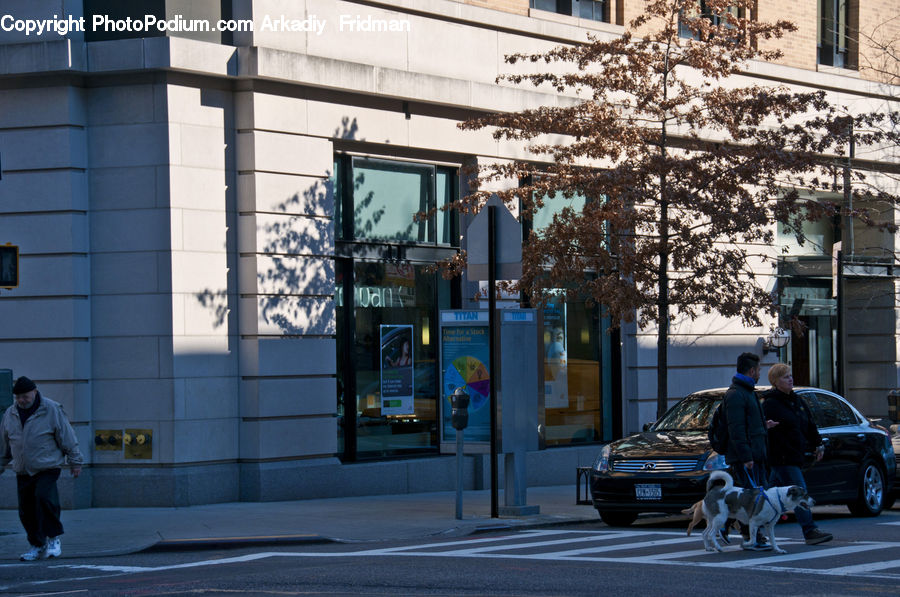 People, Person, Human, Automobile, Car, Vehicle, City