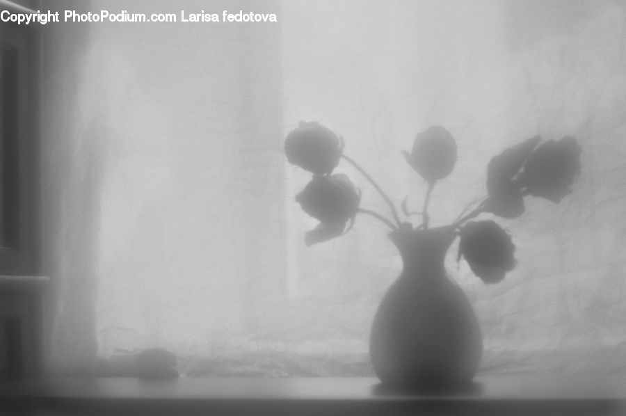 Jar, Porcelain, Vase, Heart, Plant