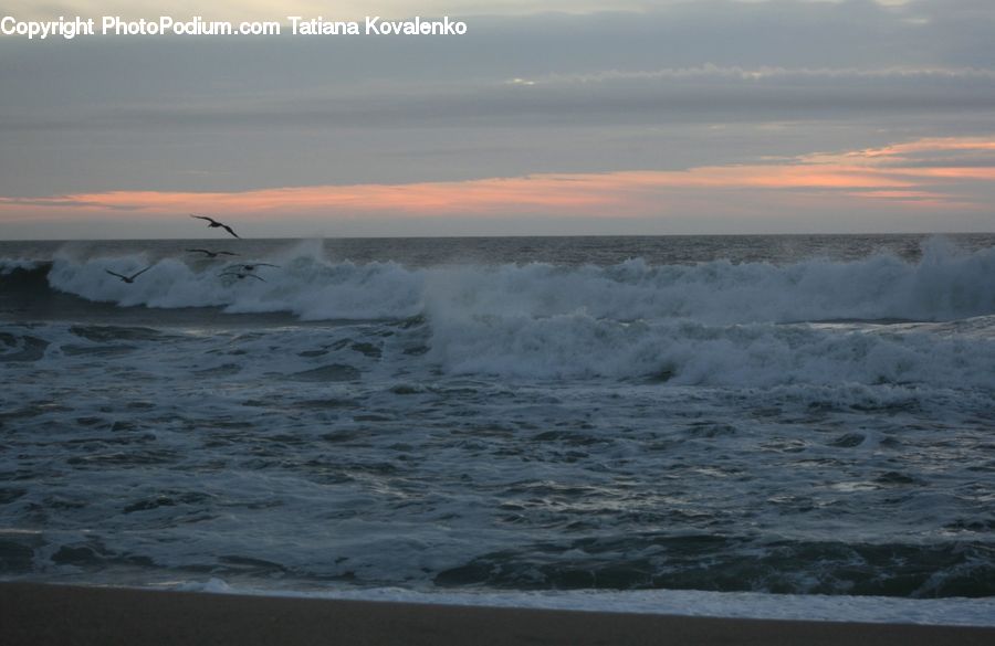 Beach, Coast, Outdoors, Sea, Water, Ocean, Sea Waves