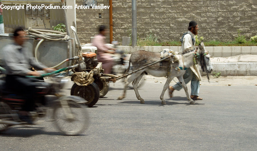 Human, People, Person, Motor, Motorcycle, Vehicle, Carriage