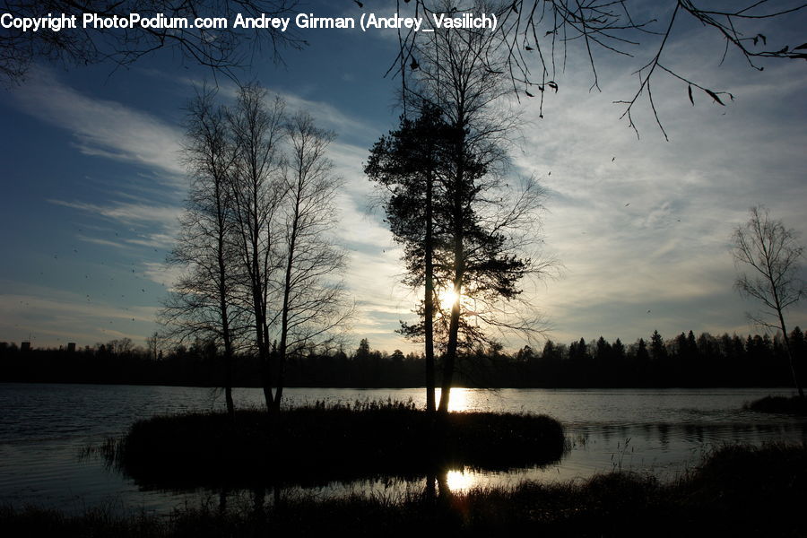 Lake, Outdoors, Water, Plant, Tree, Land, Marsh