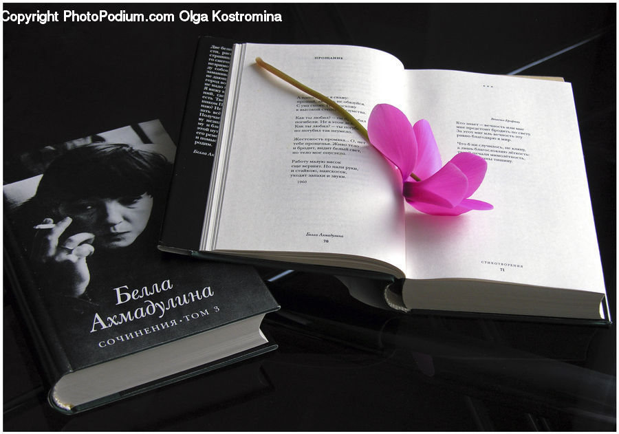Brochure, Flyer, Paper, Poster