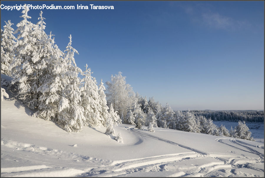 Blizzard, Outdoors, Snow, Weather, Winter, Frost, Ice