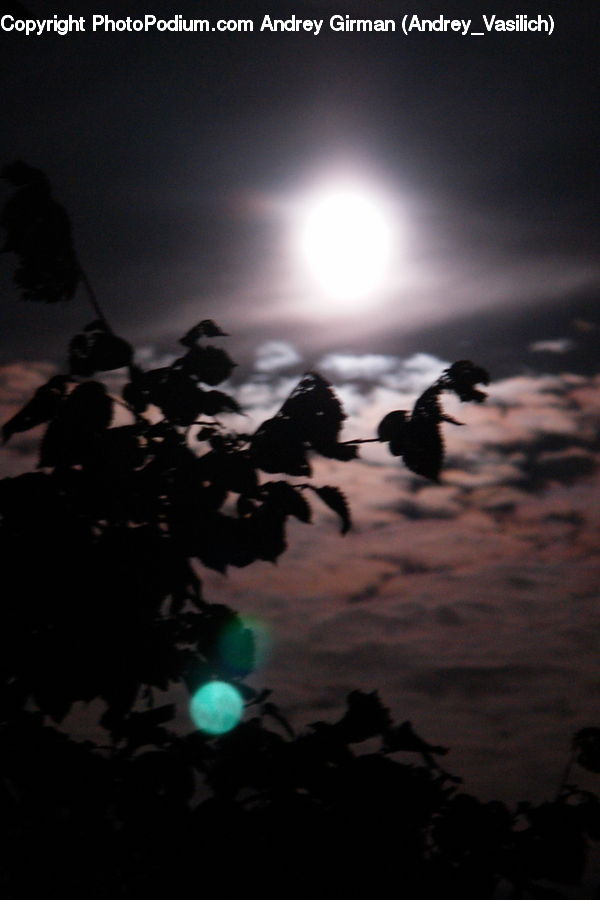 Astronomy, Full Moon, Night, Bird, Lagoon, Lake, Outdoors