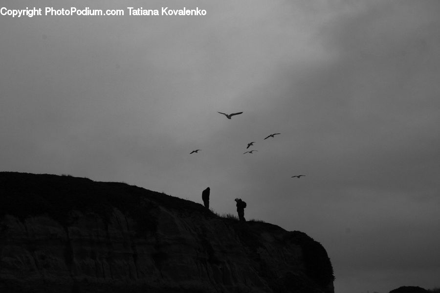 Silhouette, Flying