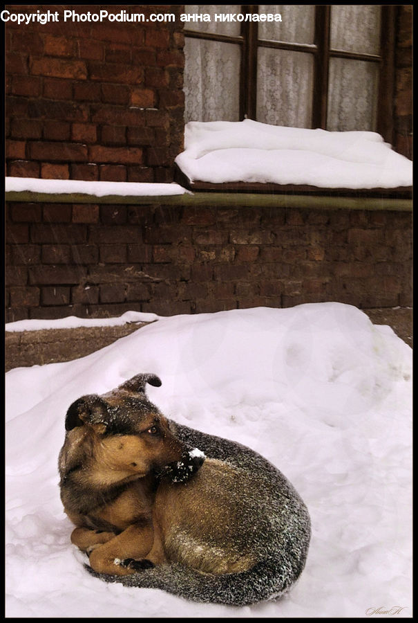 Ice, Outdoors, Snow, Cushion, Home Decor, Pillow