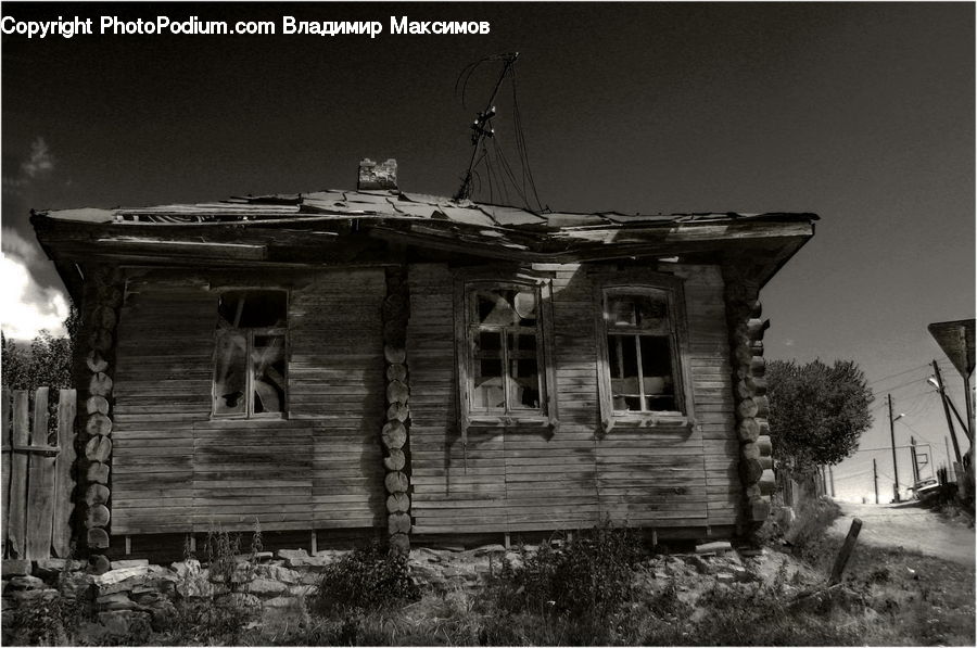 Cabin, Hut, Rural, Shack, Shelter, Plant, Potted Plant