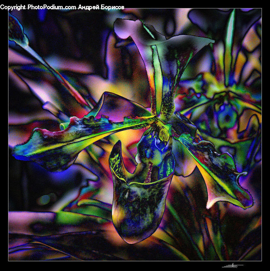 Art, Modern Art, Fractal, Floral Design, Blossom, Flora, Flower
