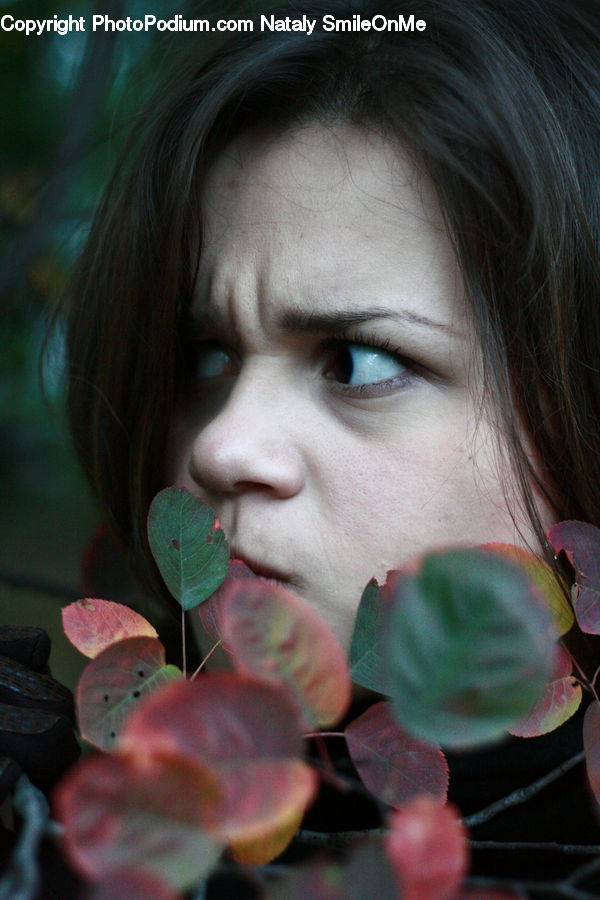 Human, People, Person, Blossom, Flora, Flower, Geranium