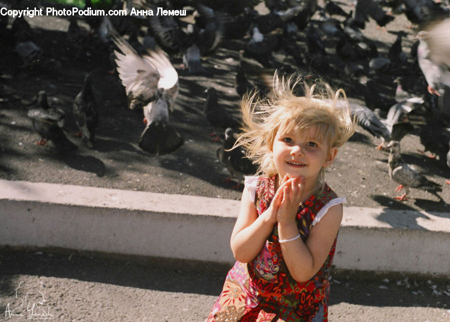People, Person, Human, Bird, Pigeon, Female, Girl