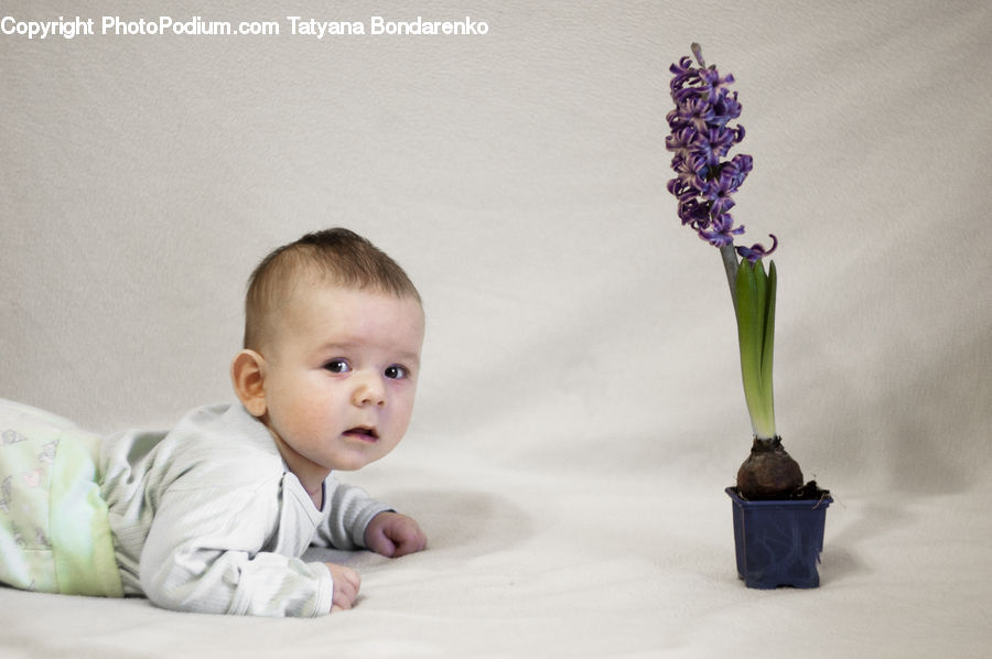 People, Person, Human, Flower Arrangement, Ikebana, Plant, Potted Plant
