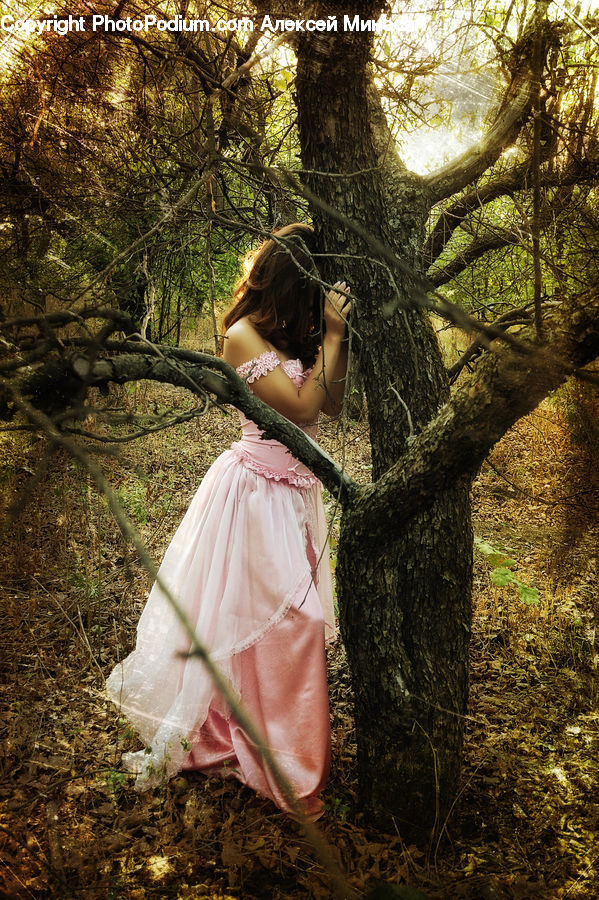 People, Person, Human, Robe, Forest, Vegetation, Plant