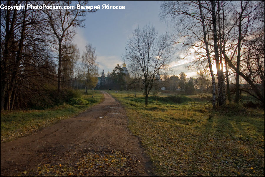 Dirt Road, Gravel, Road, Path, Walkway, Landscape, Nature