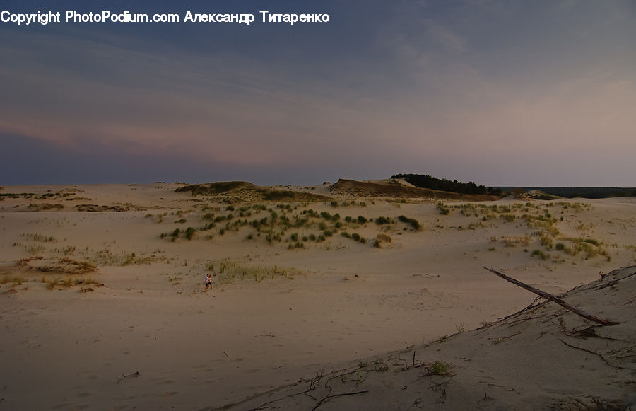 Desert, Outdoors, Dune, Sea, Water, Plant, Vegetation
