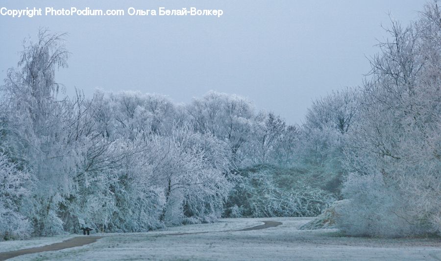 Frost, Ice, Outdoors, Snow