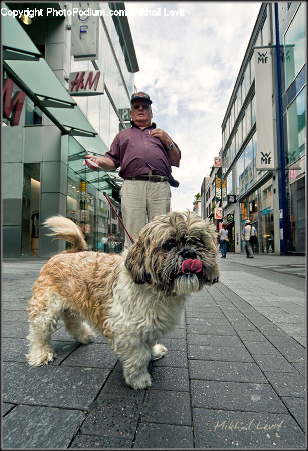 People, Person, Human, Animal, Canine, Dog, Mammal