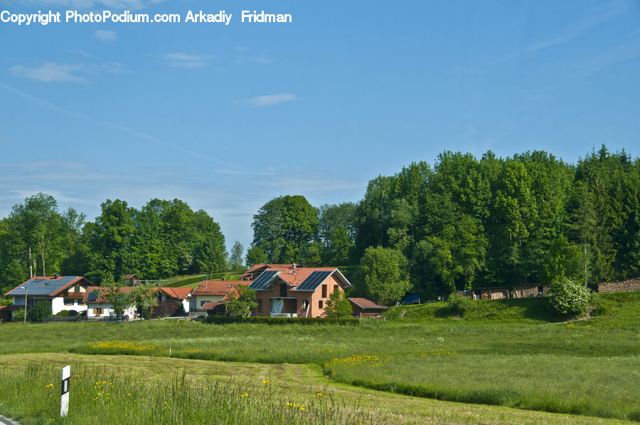 Countryside, Grassland, Meadow, Outdoors, Pasture, Ranch, Field