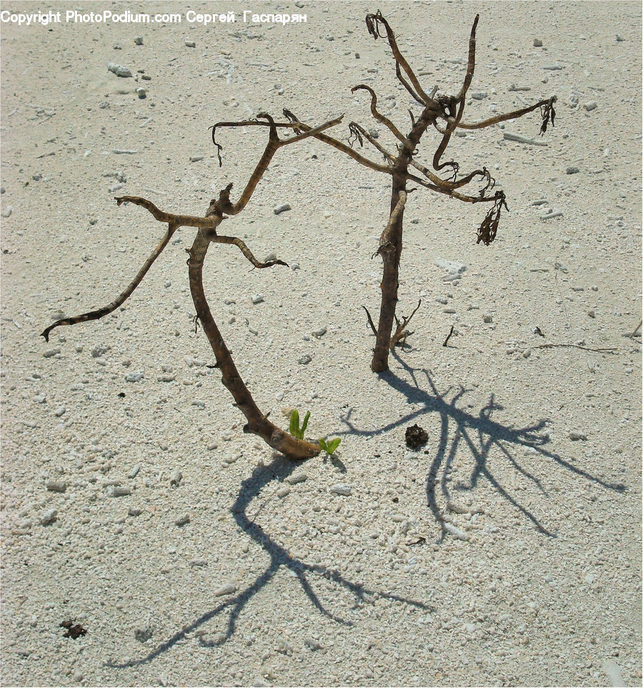 Outdoors, Sand, Soil, Asphalt, Tarmac, Dirt Road, Gravel