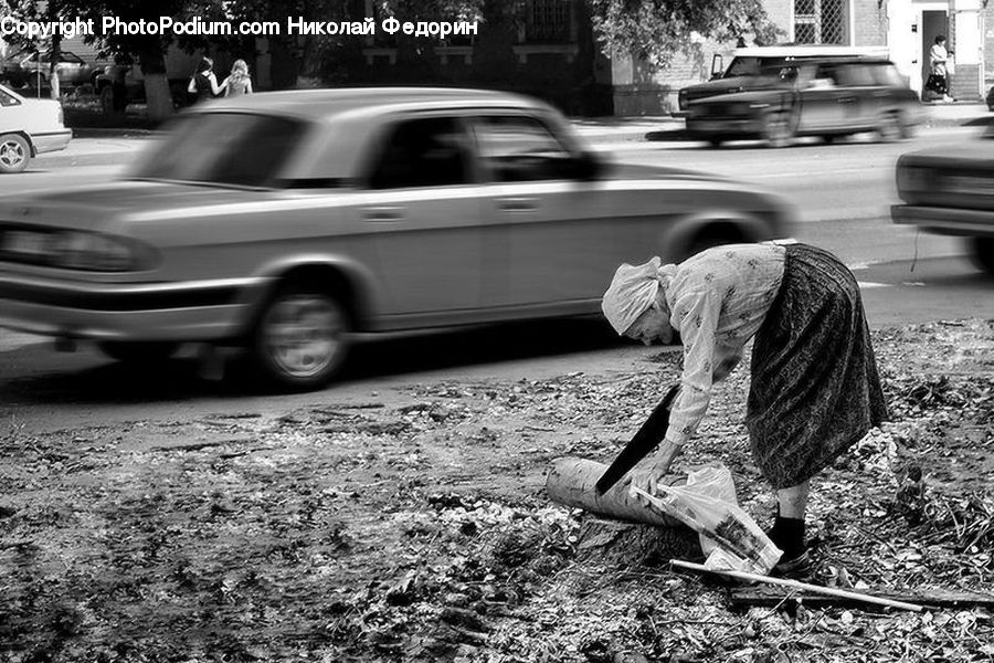 People, Person, Human, Automobile, Car, Vehicle, Sedan