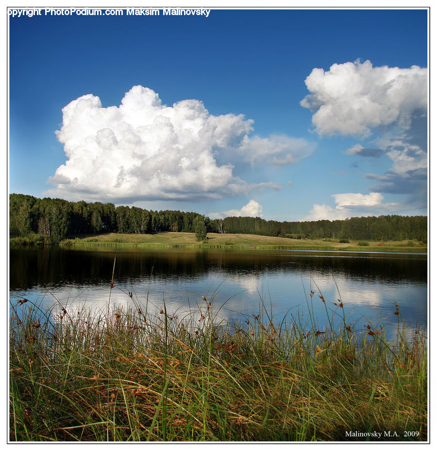 Cloud, Cumulus, Sky, Azure Sky, Outdoors, Field, Grass