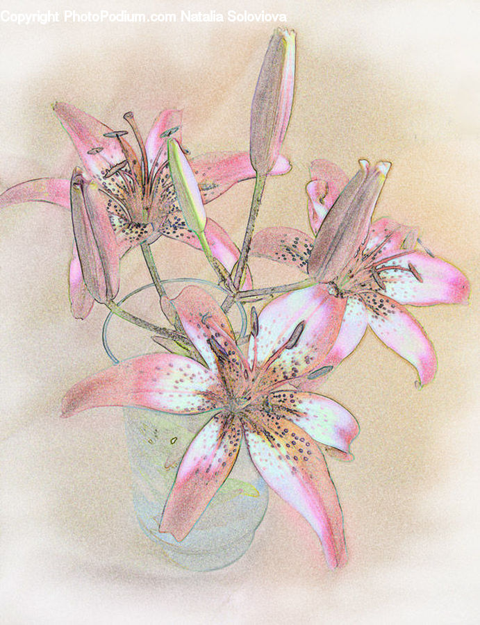 Embroidery, Accessories, Art, Drawing, Leaf, Plant