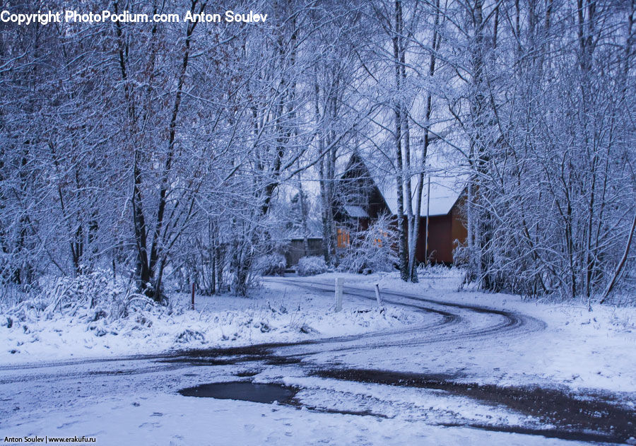 Cabin, Hut, Rural, Shack, Shelter, Dirt Road, Gravel